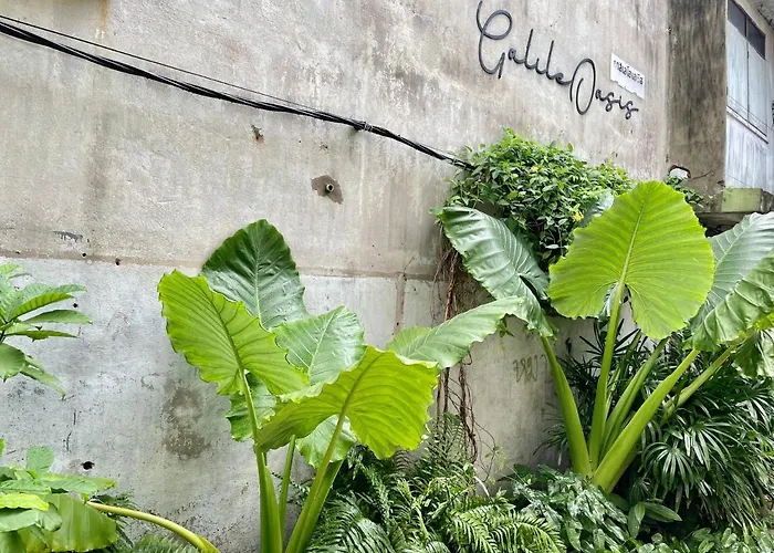 Galileoasis Boutique Hotel